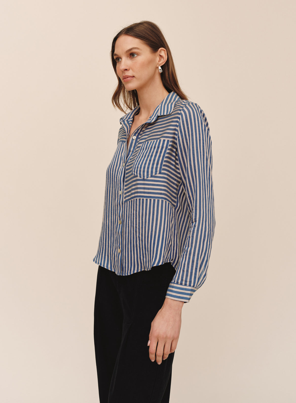 Seamed Button Down Shirt - Vintage Navy Stripe